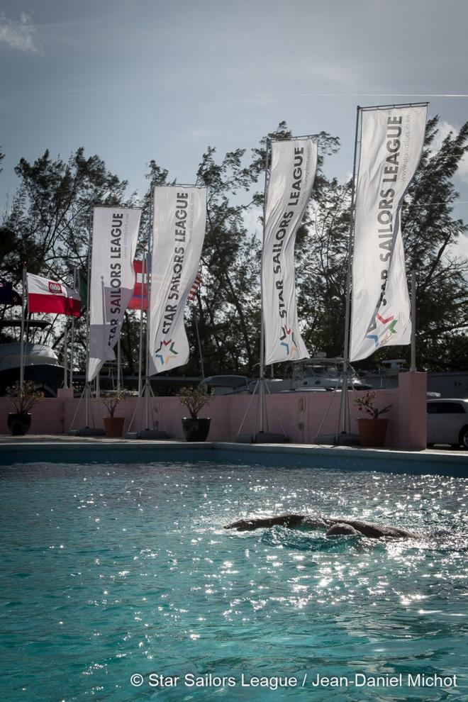 Star Sailors League Finals &copy;  Jean-Daniel Michot / Star Sailors League